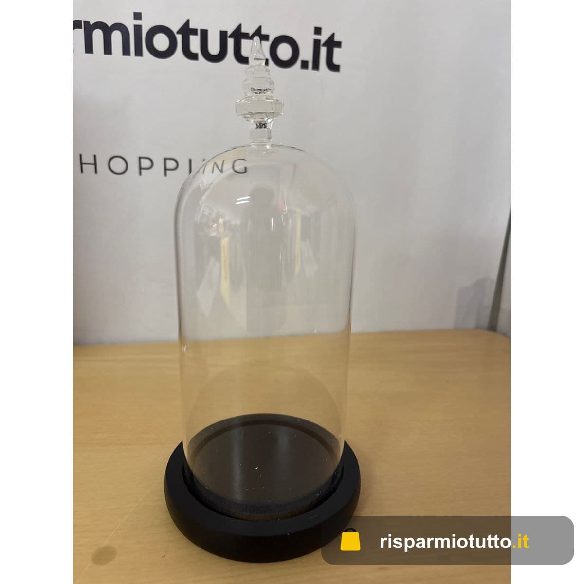 BELLE VOUS Campana in vetro con base nera in legno, altezza 26,5 cm, mini campana in vetro trasparente per luci, piante, decorazione da tavolo